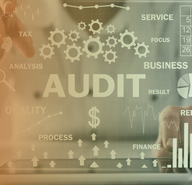 Digital auditing: <br> What are you waiting for?